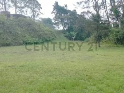 VENTA DE TERRENO EL JUNQUITO 18.100 MTS ideal para desarrollo habitacional - 10