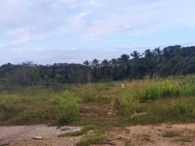 Fábrica enlatadora de productos marinos y maquinaria especializada