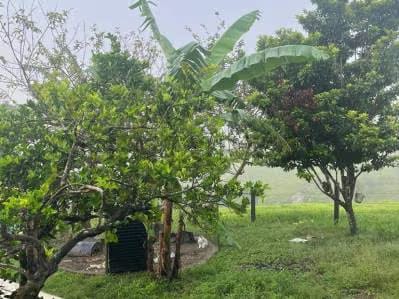 ¡Adquiere esta increíble finca, conocida como La Rumbera! - 2