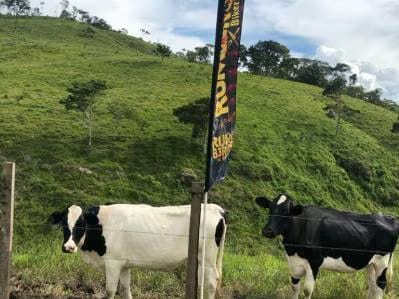 ¡Adquiere esta increíble finca, conocida como La Rumbera! - 6