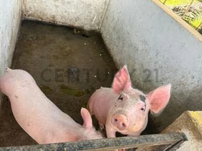 ¡Adquiere esta increíble finca, conocida como La Rumbera! - 7