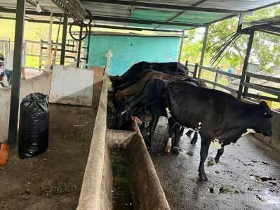 ¡Adquiere esta increíble finca, conocida como La Rumbera! - 9