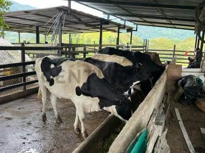 ¡Adquiere esta increíble finca, conocida como La Rumbera! - 10