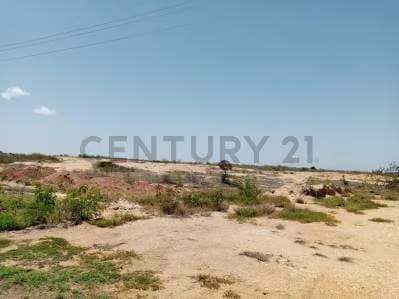 Terreno en Punta de Piedras ideal para galpón - 4