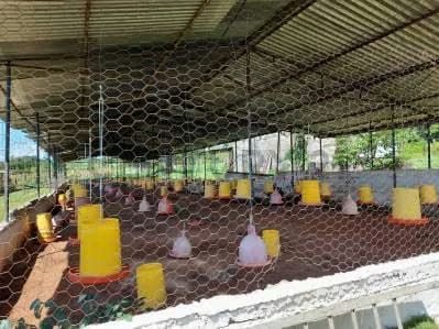 Granja ubicada en la Parroquia Campo Elias del Estado Yaracuy - 3