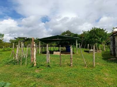 Granja ubicada en la Parroquia Campo Elias del Estado Yaracuy - 7