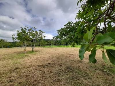 Granja ubicada en la Parroquia Campo Elias del Estado Yaracuy - 8