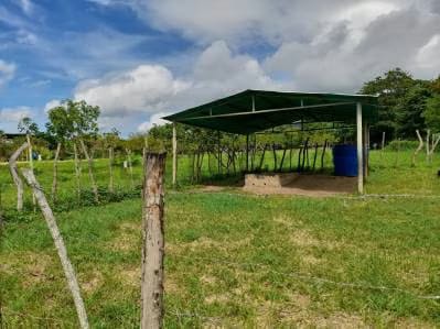 Granja ubicada en la Parroquia Campo Elias del Estado Yaracuy - 9