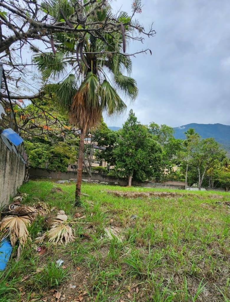 Terreno en la Castellana con alto potencial de inversión y desarrollo - 2