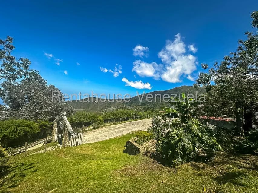 Comercial (Local Comercial) en Venta en Galipan, Distrito Metropolitano - 13