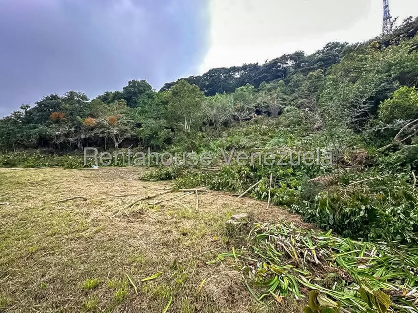 Comercial (Local Comercial) en Venta en Galipan, Distrito Metropolitano - 19