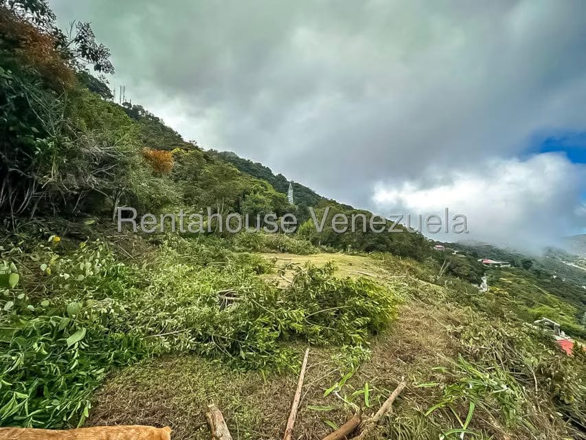 Comercial (Local Comercial) en Venta en Galipan, Distrito Metropolitano - 21