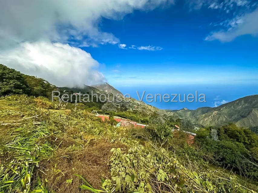 Comercial (Local Comercial) en Venta en Galipan, Distrito Metropolitano - 22