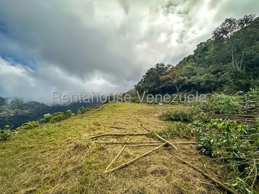 Comercial (Local Comercial) en Venta en Galipan, Distrito Metropolitano - 23