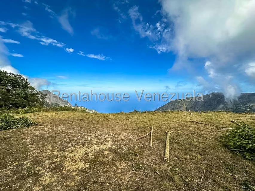 Comercial (Local Comercial) en Venta en Galipan, Distrito Metropolitano - 24