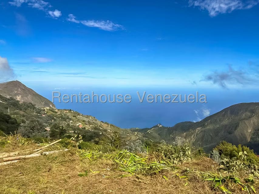 Comercial (Local Comercial) en Venta en Galipan, Distrito Metropolitano - 25