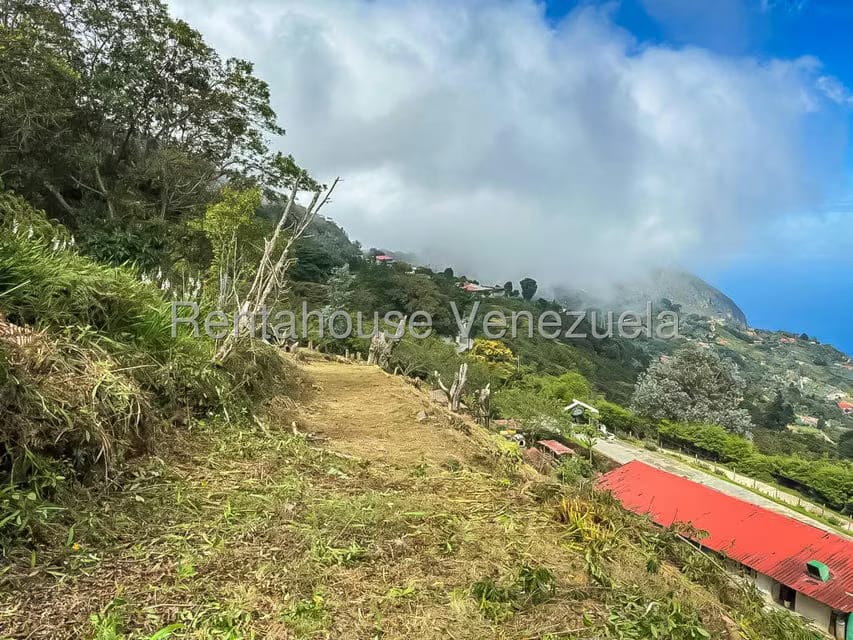 Comercial (Local Comercial) en Venta en Galipan, Distrito Metropolitano - 26