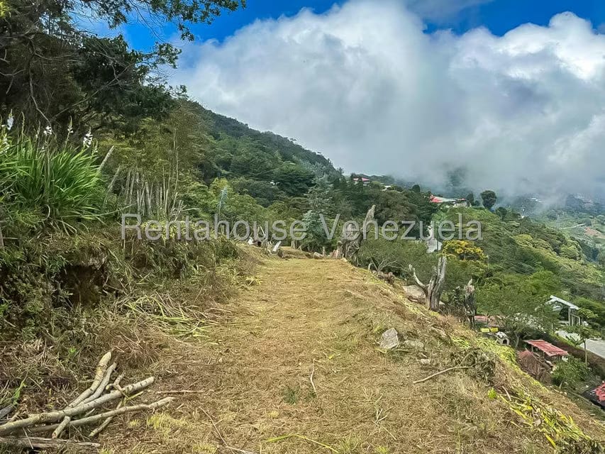 Comercial (Local Comercial) en Venta en Galipan, Distrito Metropolitano - 27