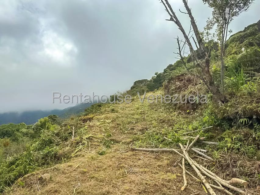 Comercial (Local Comercial) en Venta en Galipan, Distrito Metropolitano - 28