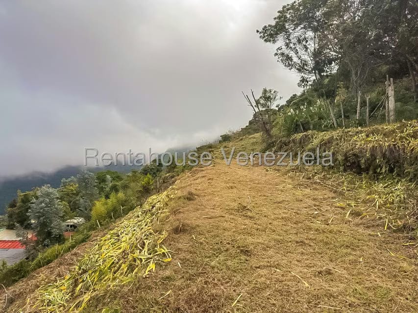 Comercial (Local Comercial) en Venta en Galipan, Distrito Metropolitano - 29