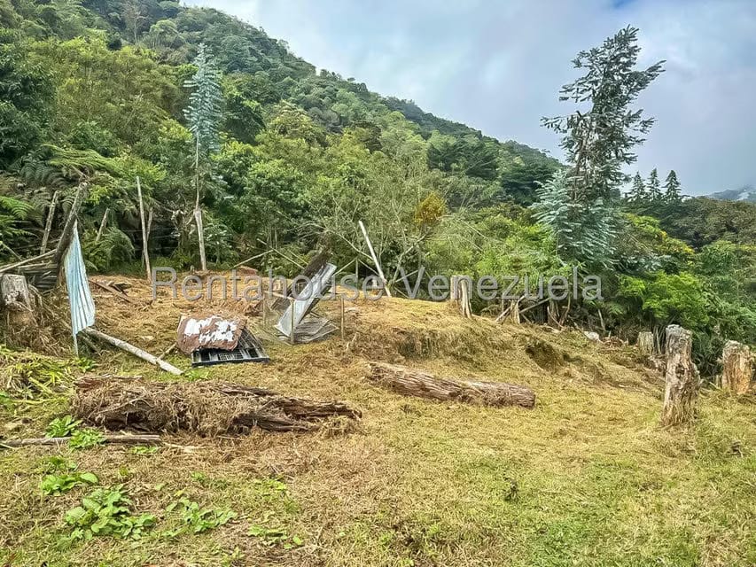 Comercial (Local Comercial) en Venta en Galipan, Distrito Metropolitano - 30