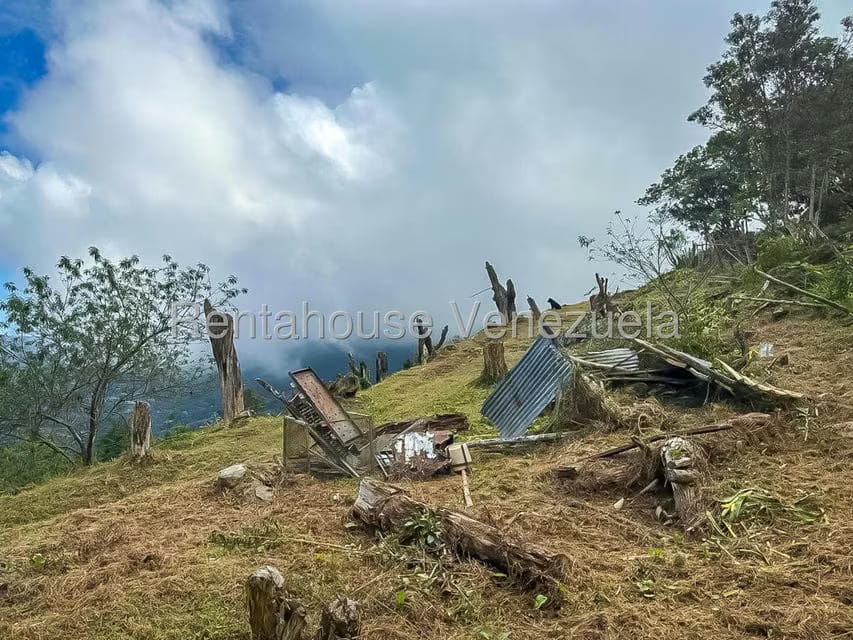 Comercial (Local Comercial) en Venta en Galipan, Distrito Metropolitano - 31