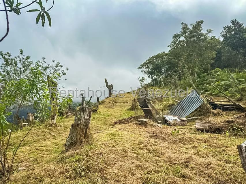 Comercial (Local Comercial) en Venta en Galipan, Distrito Metropolitano - 32