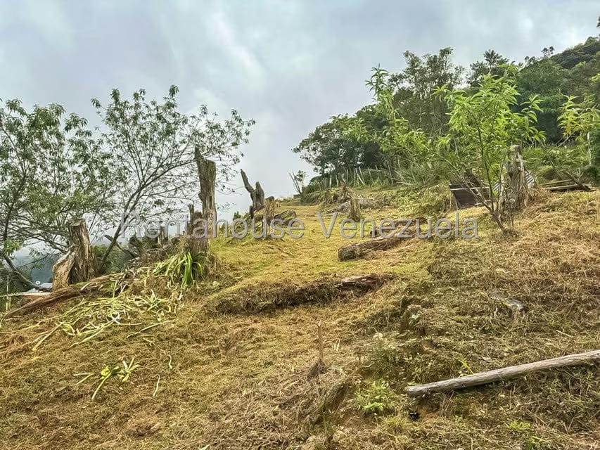 Comercial (Local Comercial) en Venta en Galipan, Distrito Metropolitano - 33