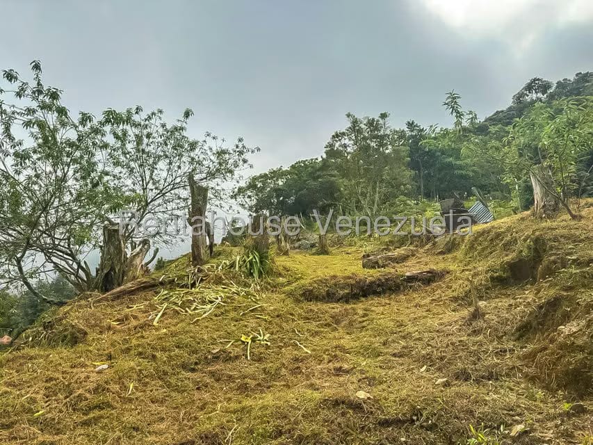 Comercial (Local Comercial) en Venta en Galipan, Distrito Metropolitano - 34