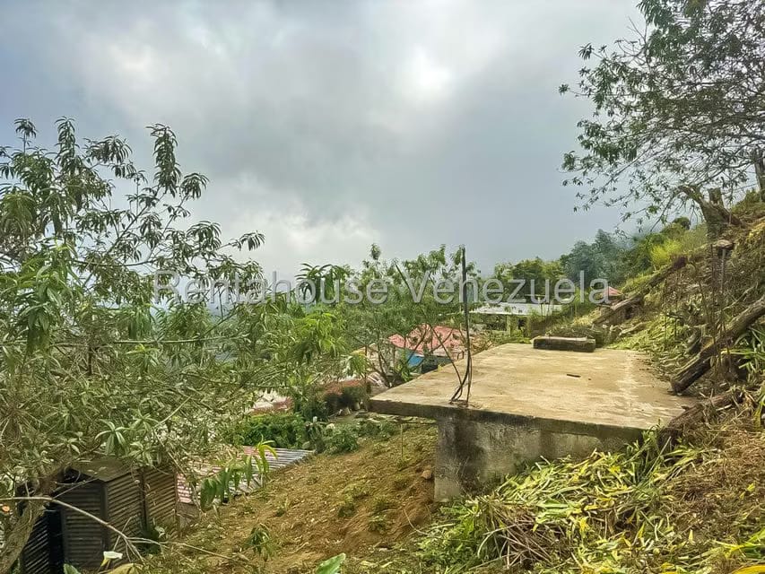 Comercial (Local Comercial) en Venta en Galipan, Distrito Metropolitano - 35