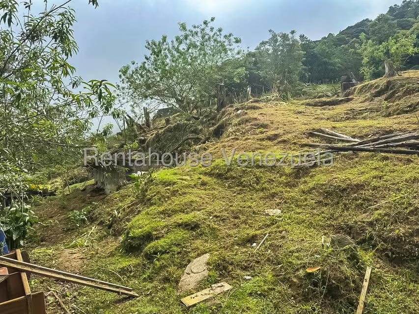 Comercial (Local Comercial) en Venta en Galipan, Distrito Metropolitano - 36