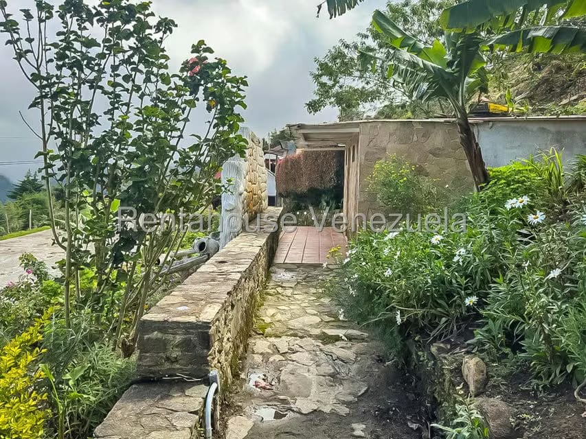 Comercial (Local Comercial) en Venta en Galipan, Distrito Metropolitano - 37