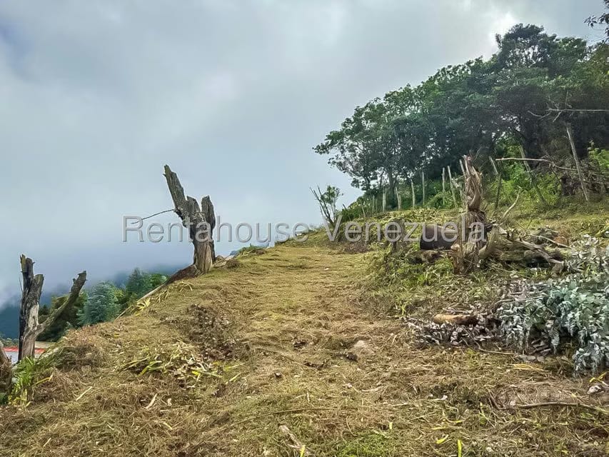 Comercial (Local Comercial) en Venta en Galipan, Distrito Metropolitano - 43