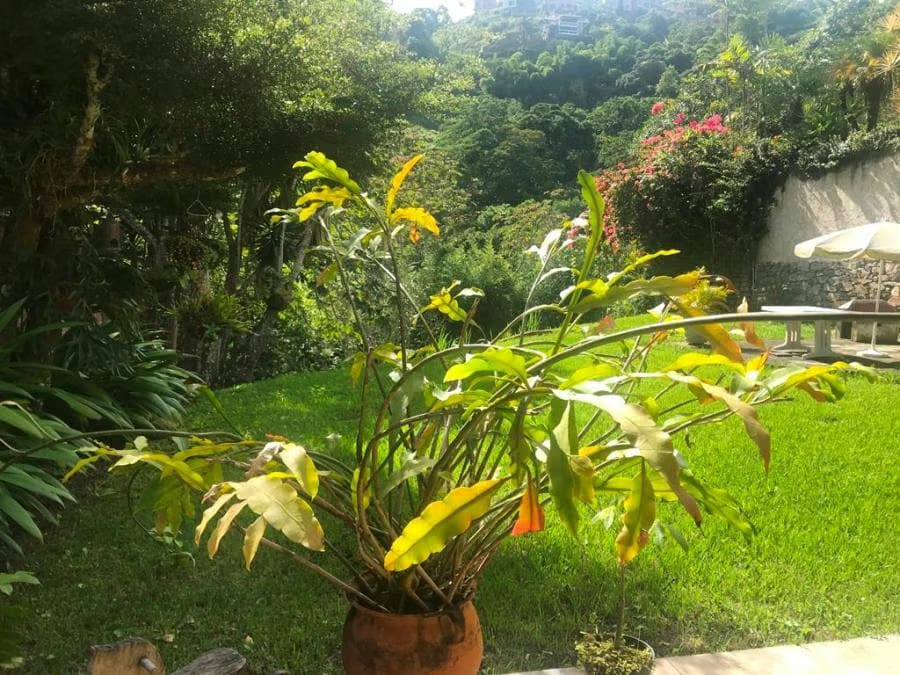 Casa en Venta en Oripoto, El Hatillo Municipio El Hatillo - 26