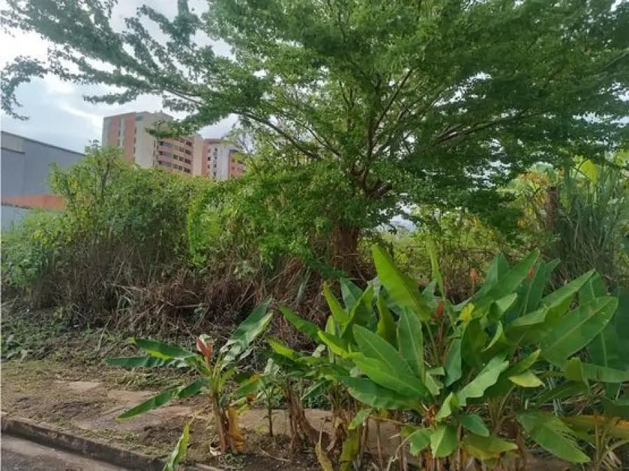 Terreno en Venta en Naguanagua - 11