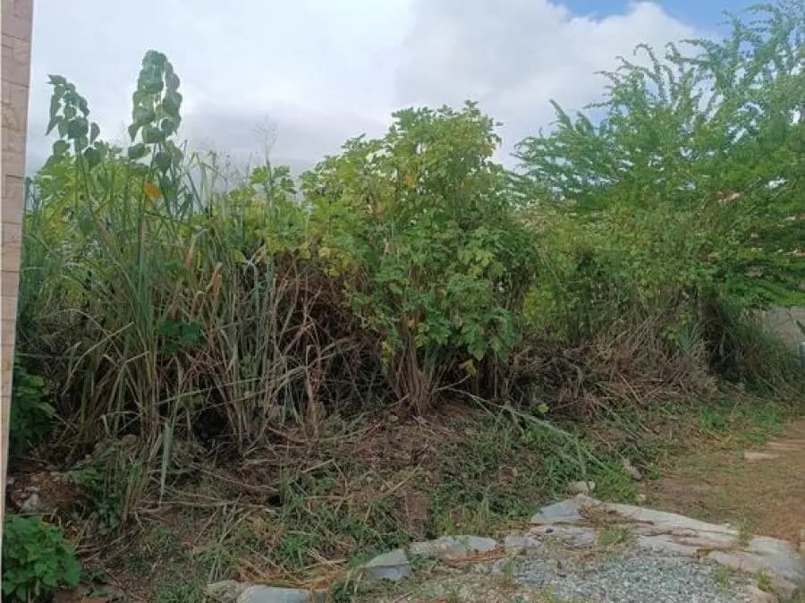 Terreno en Venta en Naguanagua - 4