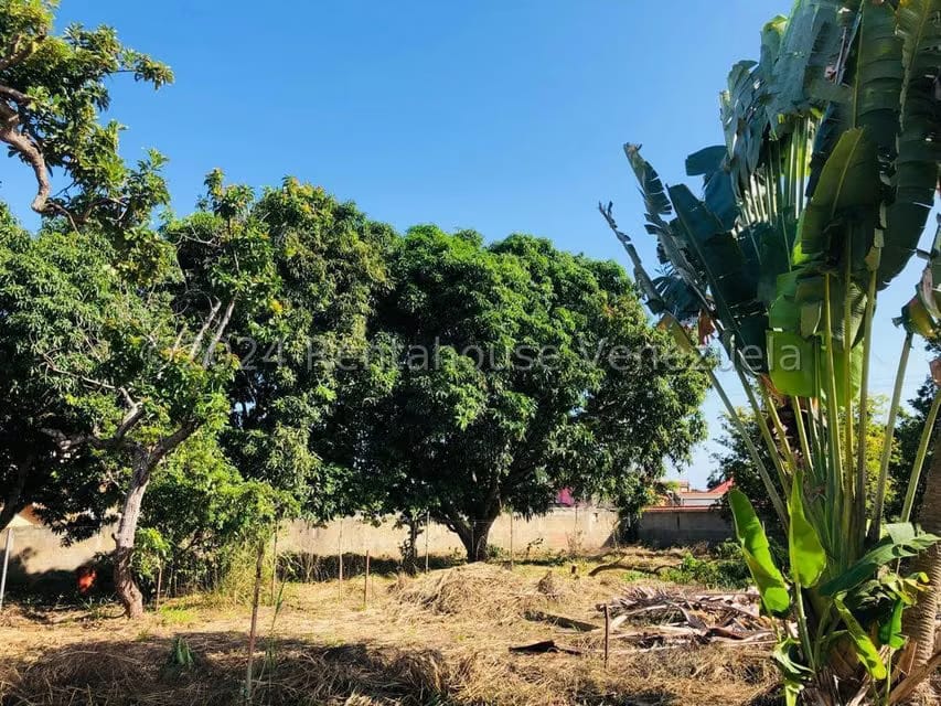 Casa (Casas de Playa) en Venta en Higuerote, Miranda - 14