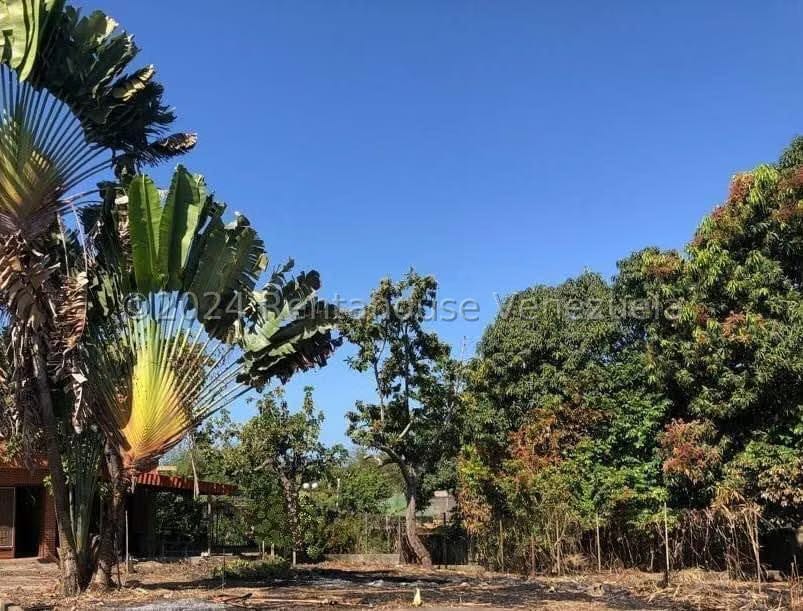 Casa (Casas de Playa) en Venta en Higuerote, Miranda - 15