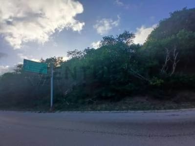 Terreno en La Asuncion - 4