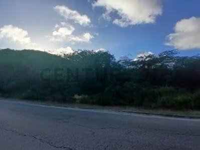 Terreno en La Asuncion - 5