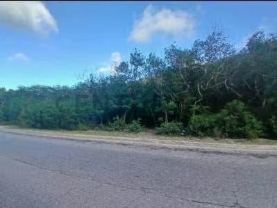 Terreno en La Asuncion - 7