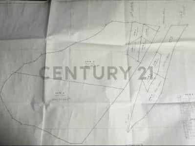 Terreno en La Asuncion - 10