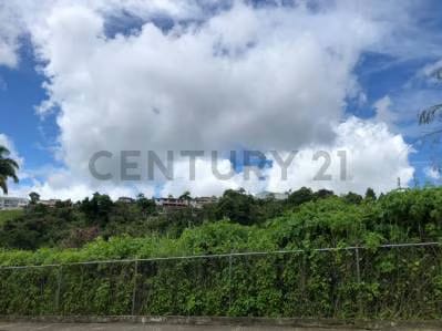 terreno Unifamiliar ubicado en la exclusiva Urbanización El Portal del Hatillo - 5