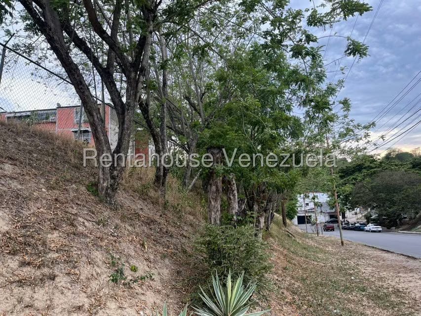 Apartamento (1 Nivel) en Venta en Los Naranjos, Miranda - 24