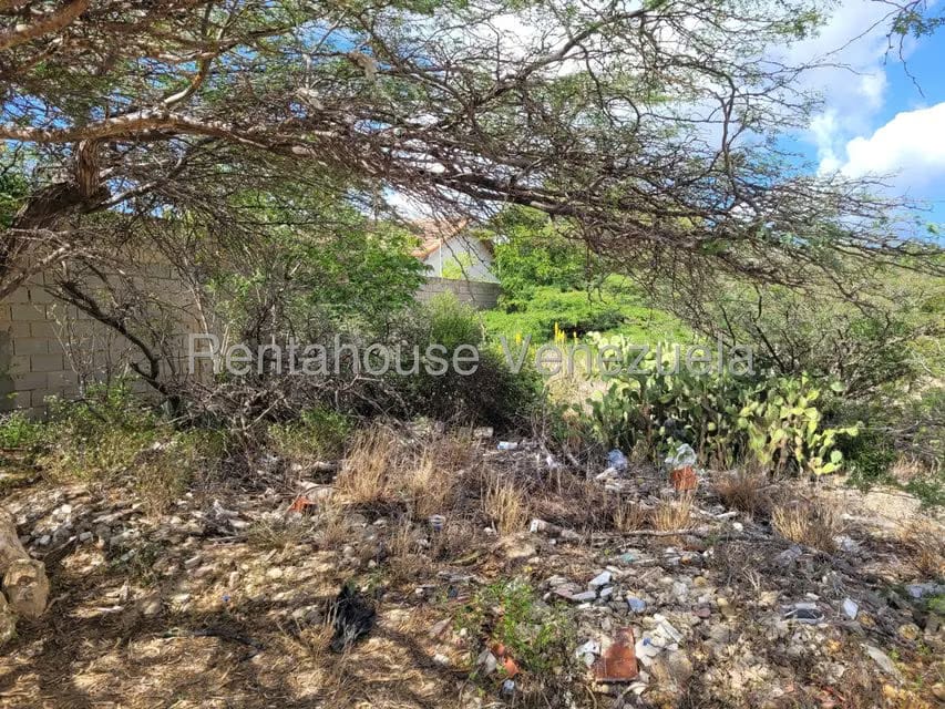 Terreno (Residencial) en Venta en Puerta Maraven, Falcon - 6