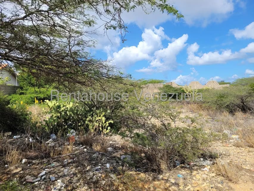 Terreno (Residencial) en Venta en Puerta Maraven, Falcon - 7