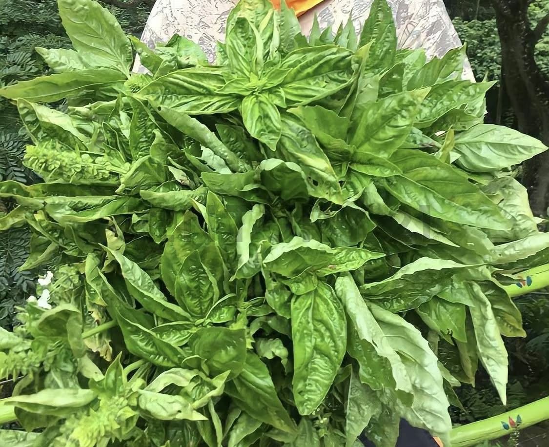 Venta de Terreno San Diego de Los Altos. Miranda - 4