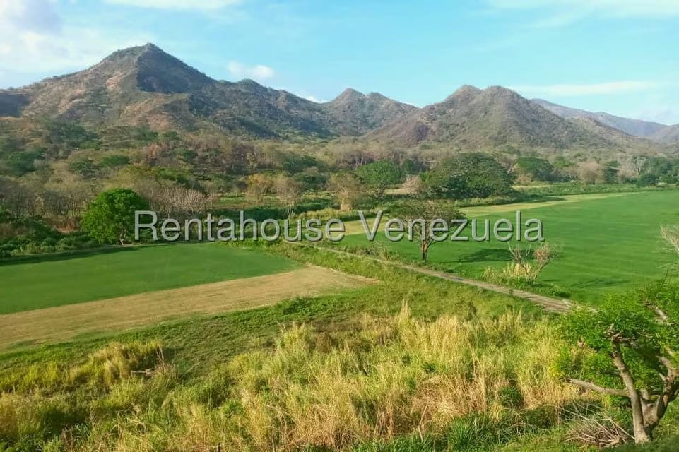 Casa (Hacienda) en Venta en Via San Sebastian, Guarico
