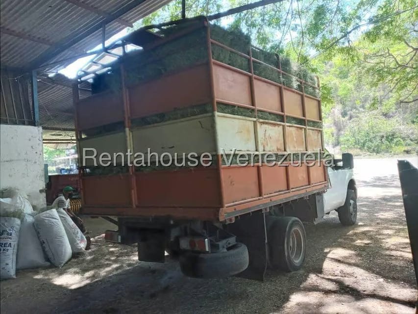 Casa (Hacienda) en Venta en Via San Sebastian, Guarico - 11