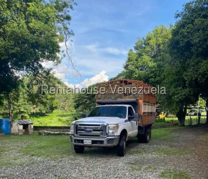 Casa (Hacienda) en Venta en Via San Sebastian, Guarico - 12